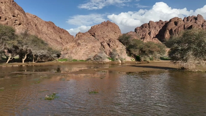 منظر طبيعي لشعيب الرضفين بعد الأمطار في حائل، درون متحرك.