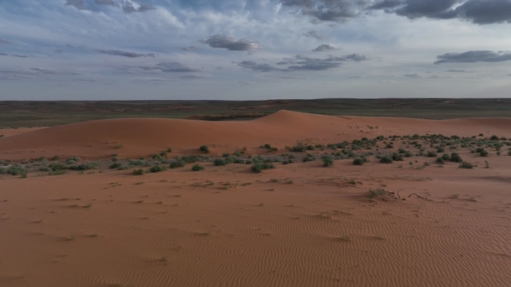 كثبان رملية في رمال النفود خلال الربيع، لقطة من الجو.