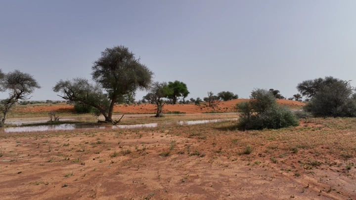 سيل الأمطار في النفود، لقطة جوية نهارية واسعة.