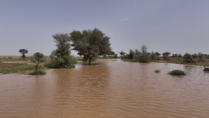 سيل وادي وطلح في حائل، لقطة طبيعية نهارية.