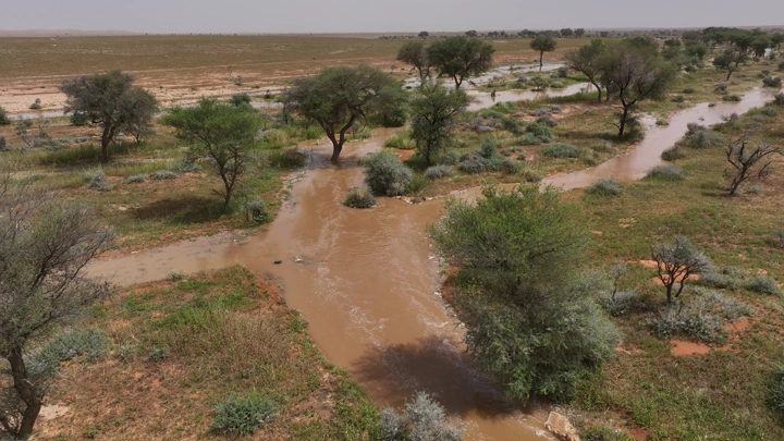 سيل في وادي حائل، تصوير جوي نهاري.