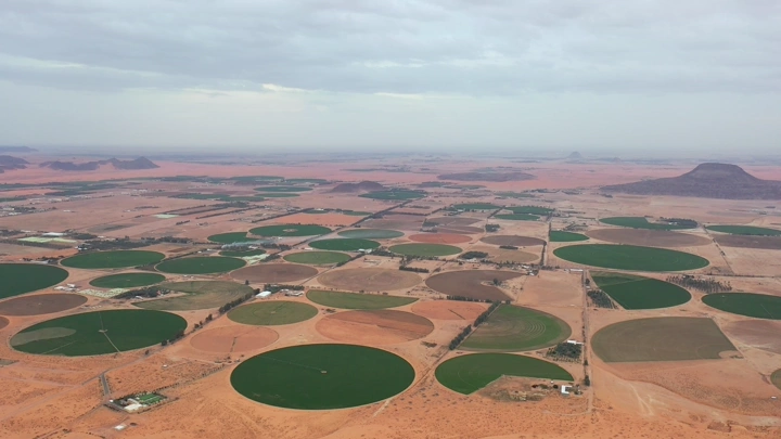 حقول زراعية دائرية في الصحراء، صورة جوية.
