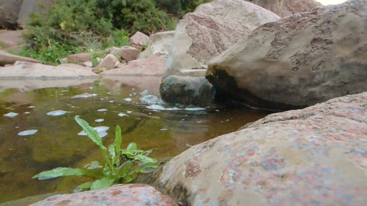 صخرة بجانب بركة ماء صغيرة في جبال سلمى حائل، لقطة قريبة.