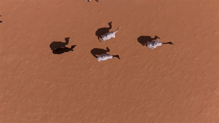 جمال تسير في الصحراء الرملية، لقطة جوية.