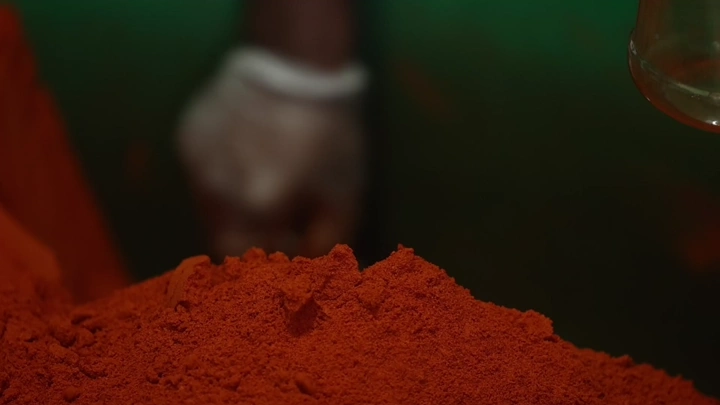 صرار أحمر في مصنع توابل، لقطة قريبة.