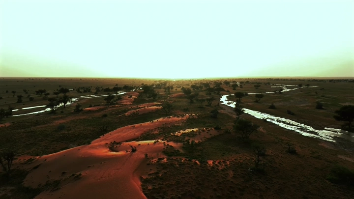 غروب الشمس في وادي بعد المطر، لقطة جوية.