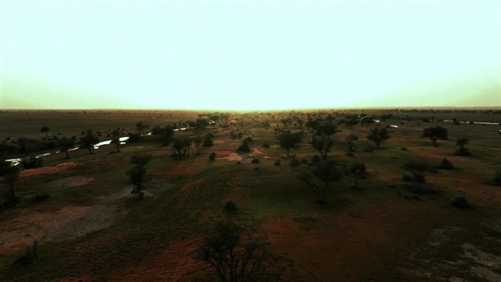 وادي بعد المطر عند غروب الشمس، لقطة جوية.