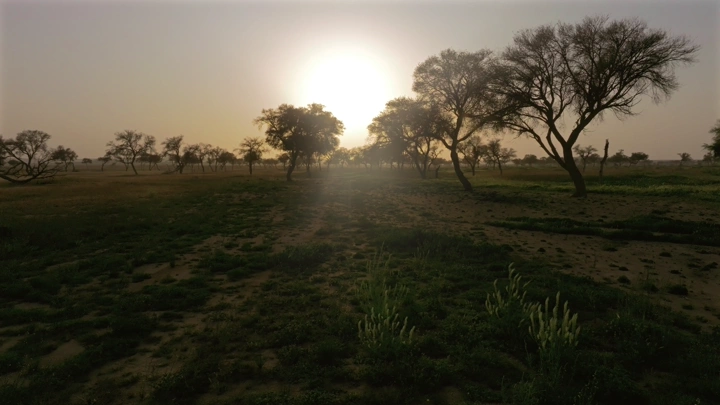 غروب الشمس في حائل مع أشجار متناثرة، لقطة جوية.
