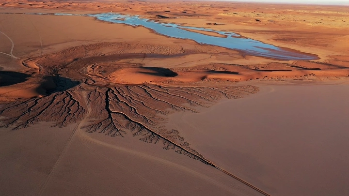 سيل المطر يشكل شجرة في تبوك، لقطة جوية.