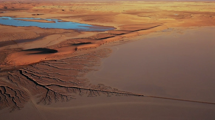 سيل المطر يشكل شجرة في صحراء تبوك، لقطة جوية.