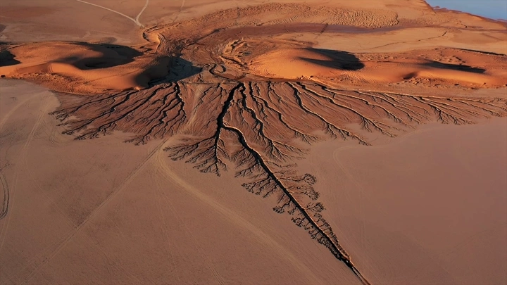 تشكيل أرضي يشبه شجرة من اثر سيول المطر في تبوك، لقطة جوية.