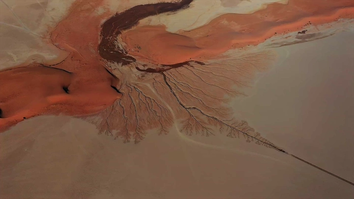 سيل المطر يشكل شجرة في تبوك، لقطة جوية.