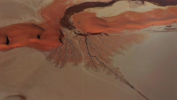 سيل المطر يشكل شجرة في تبوك، لقطة جوية.