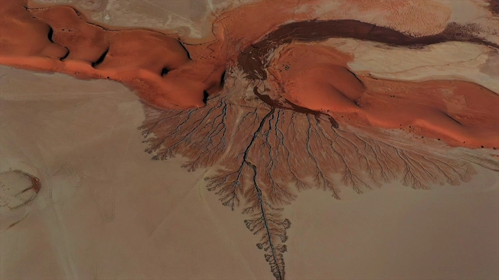 سيل المطر على شكل شجرة في تبوك، صورة جوية.