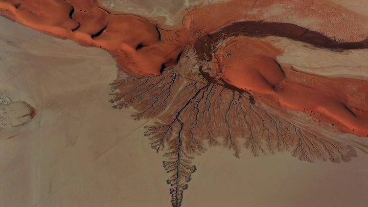 سيل المطر يشكل شجرة في تبوك، لقطة جوية.