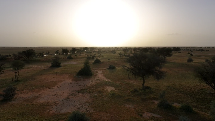 وادي بعد المطر عند غروب الشمس، لقطة جوية.