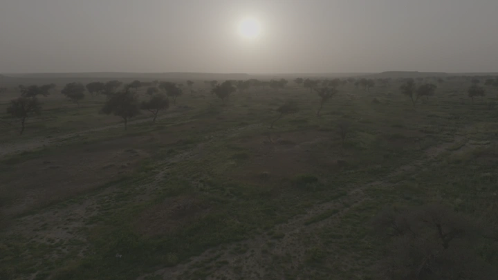 وادي أخضر بعد المطر عند غروب الشمس، لقطة جوية.