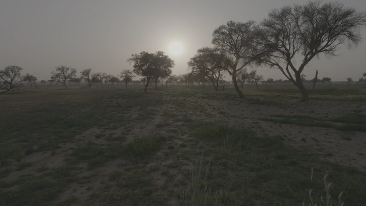 غروب الشمس في وادي بعد المطر، لقطة من الأرض.
