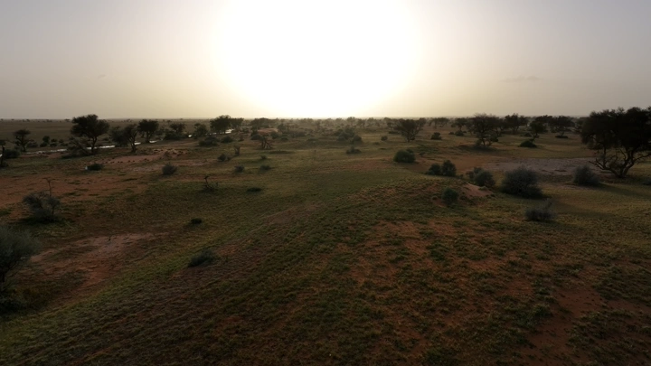 غروب الشمس في وادي بعد المطر، لقطة جوية.