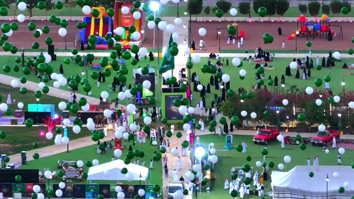 احتفال في حديقة مع بالونات خضراء وبيضاء، منظر جوي.