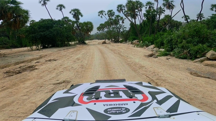 مركبة على طريق رملي محاط بأشجار النخيل، لقطة من منظور السائق.