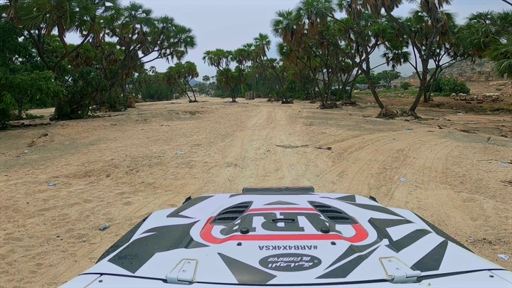 سيارة تسير في وادي الغمار مع أشجار نخيل، لقطة من السيارة.