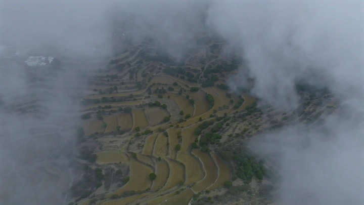 Fog-covered Al Soudah farms, aerial shot.