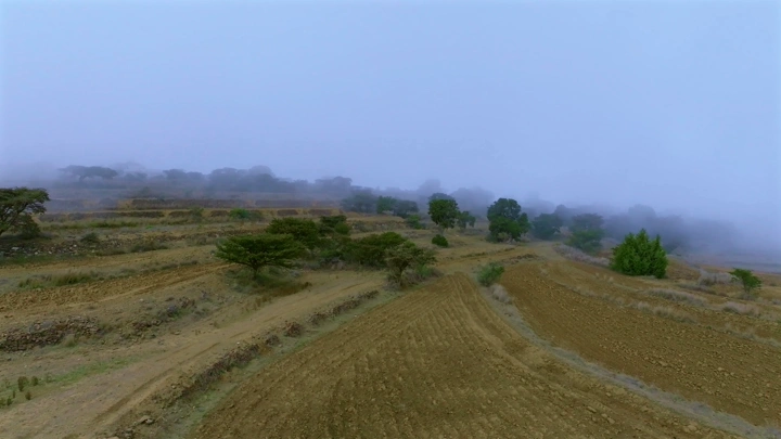 مزارع السودة في الضباب، لقطة جوية.