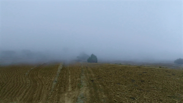 حقل ضبابي في مزارع السودة، لقطة جوية.