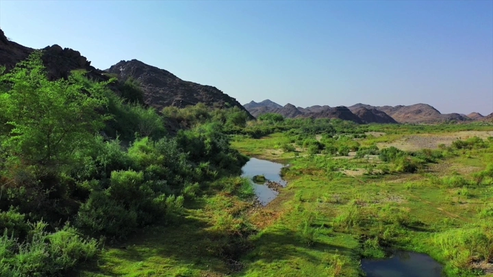 وادي أخضر في أعالي رنية تحت سماء زرقاء، لقطة جوية.