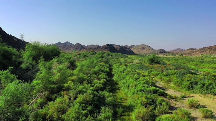 وادي بيشه مع جبال في الخلفية، لقطة جوية نهارية.