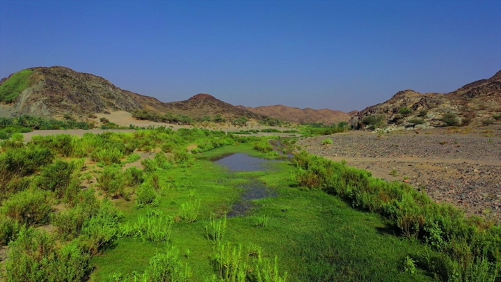 وادي بيشة مع مساحات خضراء وجبال، لقطة جوية.