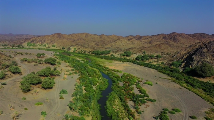 وادي بيشة في السعودية مع مجرى السيل، لقطة جوية.