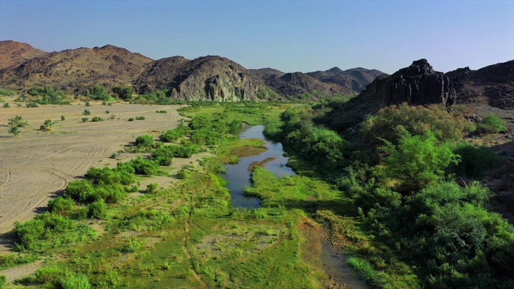 وادي بيشة مع الماء والخضرة، لقطة جوية.