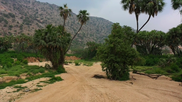 منظر لوادي الغمار في جيزان، لقطة جوية.