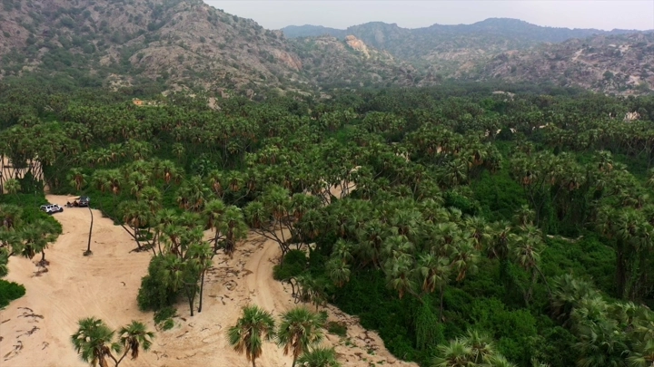 وادي الغمار في جيزان، مشهد جوي نهاري للطبيعة الخضراء.