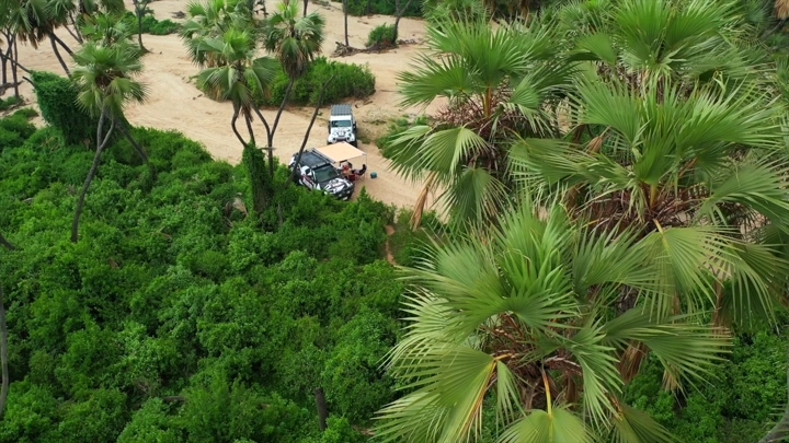 نخيل في وادي الغمار بجازان، لقطة جوية.