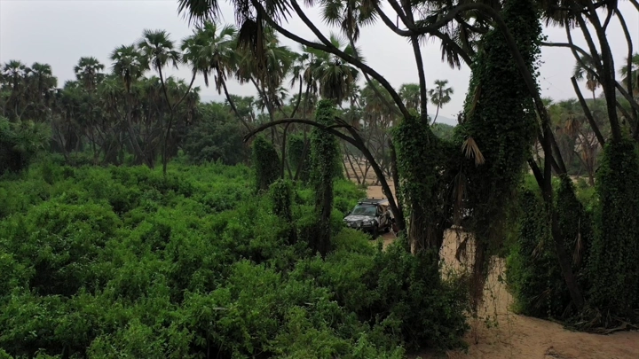 سيارة بين الأشجار الخضراء في وادي الغمار بجازان، لقطة جوية.