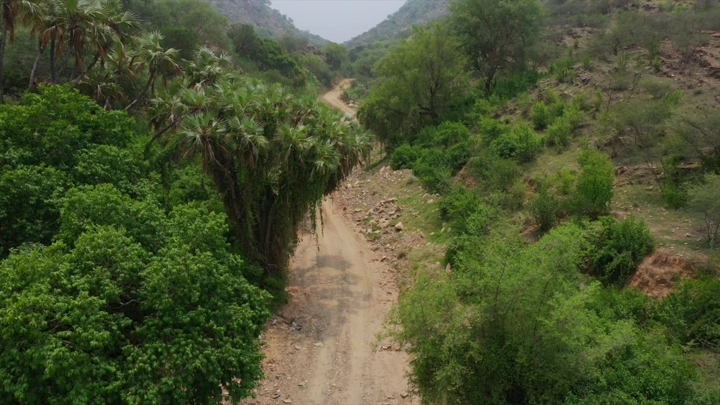 وادي الغمار في جازان، منظر جوي نهاري للطبيعة الخضراء.