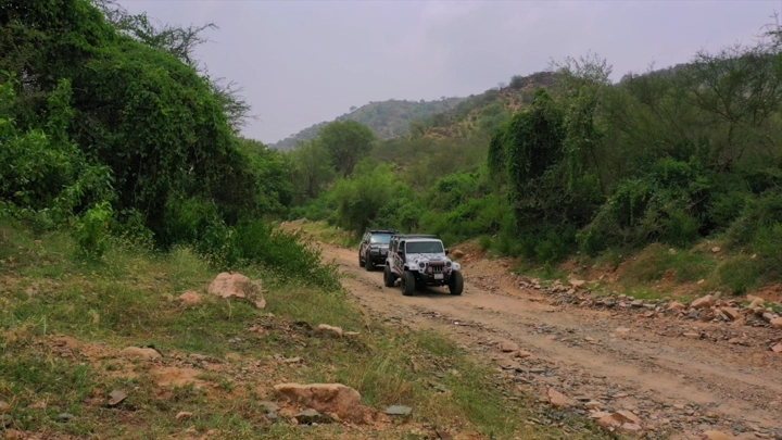 سيارات دفع رباعي في وادي الغمار بجازان، لقطة نهارية.