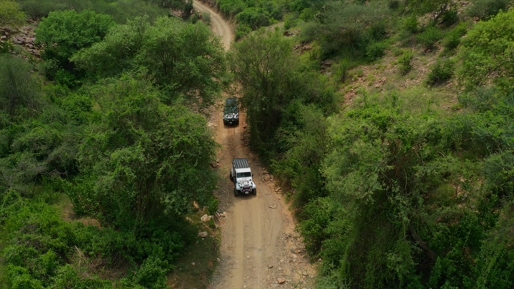 سيارات تسير في وادي الغمار بجازان، لقطة جوية.