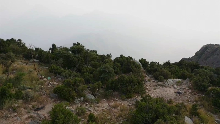 Natural landscape in Tanomah with trees and rocks, aerial shot.
