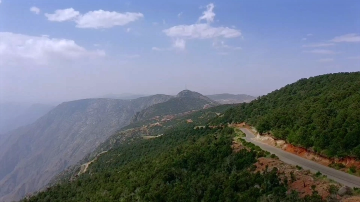 غابة كثيفة في بللسمر، عسير، لقطة جوية.