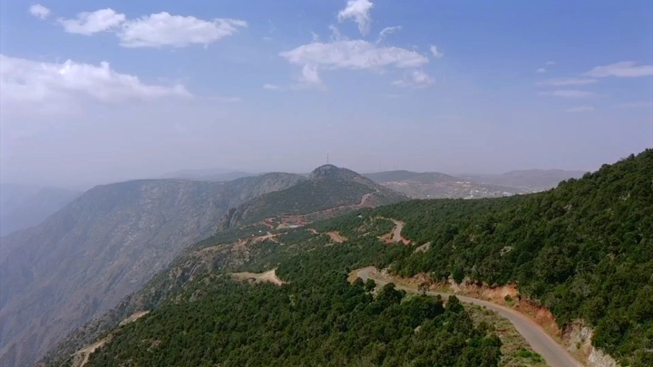 غابة كثيفة في بللسمر بعسير، لقطة جوية نهارية.