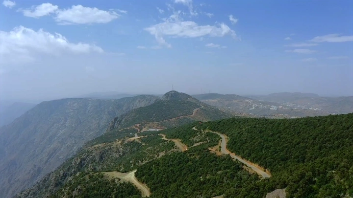 غابة كثيفة في شعف بللسمر، عسير، لقطة جوية.