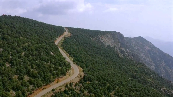 غابة كثيفة في بللسمر، عسير، لقطة جوية.