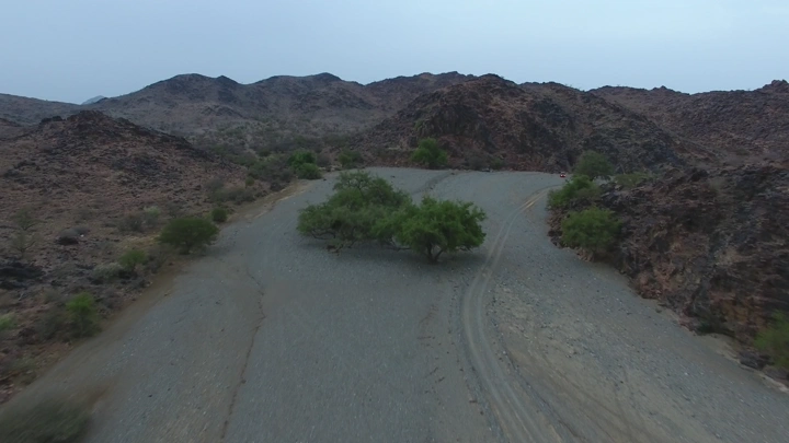 وادي بيشه في السعودية، منظر جوي يظهر الأشجار والتضاريس الجبلية.