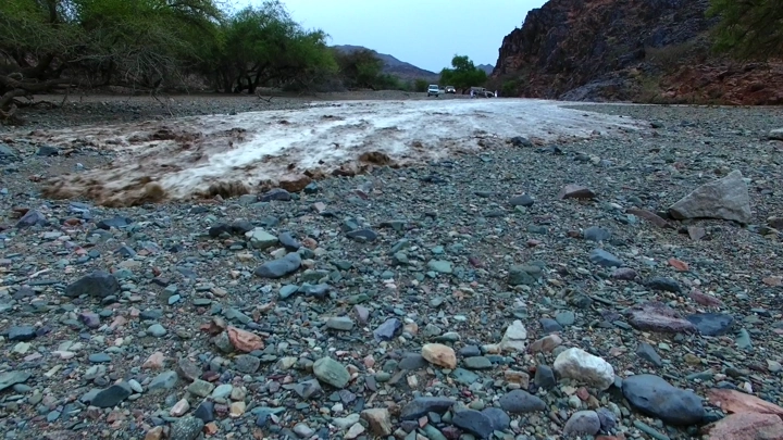 سلقطة منيل شعيب في وادٍ صخري،خفضة.
