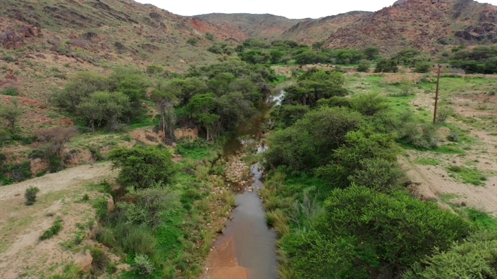 وادي محاط بالأشجار في سرة عبيدة، لقطة جوية.