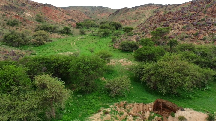 وادي جوف ال شواط مع تلال خضراء، لقطة جوية.